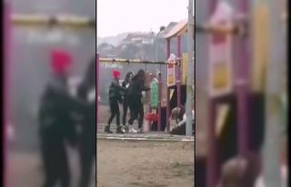 Parkta genç kıza dehşeti yaşattı, arkadaşları...