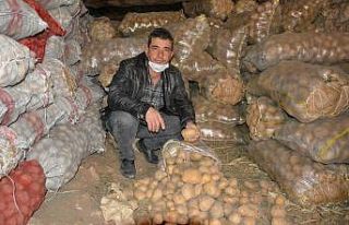 Patates depolarda alıcı bekliyor