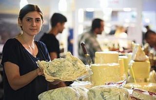 Peynir için online atölye