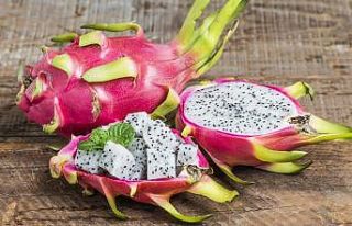 “Pitaya meyvesi, yüksek tansiyon riskini önler,...