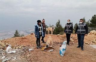 Polisten sokak hayvanlarına mama