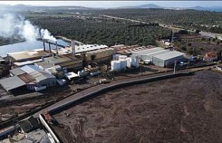 Prina faciasına isyan etti