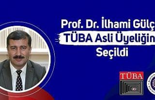 Prof. Dr. İlhami Gülçin Tüba asli üyeliğine...