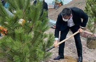 Pursaklar’da ağaçlar toprakla buluştu