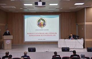 Roman Vatandaşların hizmete erişimi değerlendirildi