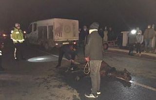 Saatlerce soğukta tedavi edilmeyi bekledi