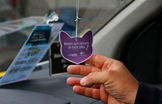 Safranbolu Belediyesi’nden sokak kedileri için...