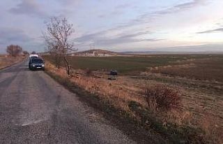 Sağlık personeli trafik kazasında hayatını kaybetti