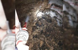 Samandağ’da saman yangını