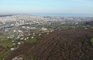 Samsun Şehir Hastanesi’nde çalışmalar başladı