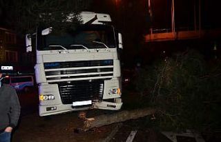 Samsun’da kontrolden çıkan tır ağaca çarptı