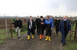 Samsun’da meralar ıslah ediliyor