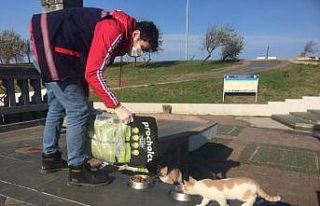 Samsun’da sokak hayvanları unutulmadı