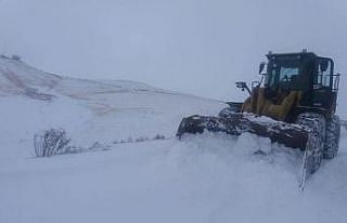 Saray’da kar hayatı olumsuz etkiledi