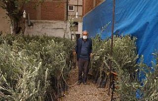 Sarıgöl Ziraat Odasından çiftçilere sekiz bin...