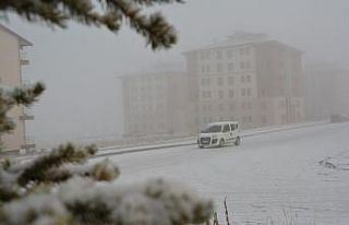 Sarıkamış’ta kar ve sis hayatı olumsuz etkiledi,...