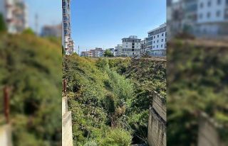Sazak Deresi ıslah ediliyor