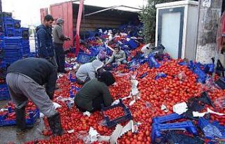 Sebze yüklü tır devrildi