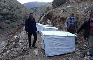 Şemdinli belediyesi sokak hayvanları için önemli...