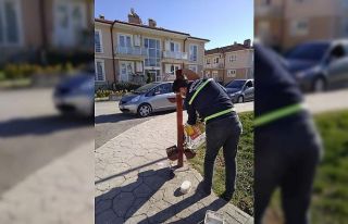 Serdivan Belediyesi sokak hayvanlarını unutmadı