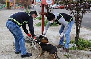 Serdivan Belediyesi’nden yeni yıl tedbirleri