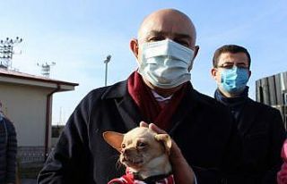 Ses telleri kesilen köpekler sahiplendiriliyor