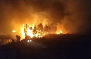 Seydikemer’de alevler seralara sıçramadan söndürüldü