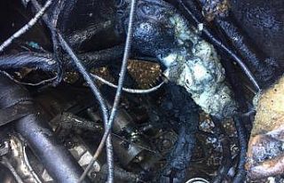 Seyir halindeki araç alev aldı