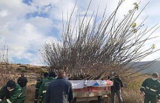 Şifa ormanı için bir araya geldiler