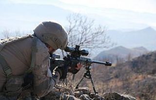 Siirt’te terör örgütünün kış üslenmesine...