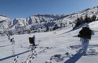 Siirt’te Yıldırım-17 Besta operasyonu devam ediyor