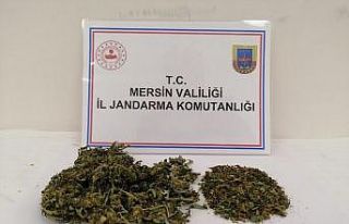 Silifke’de uyuşturucu kullanan 1 kişi yakalandı