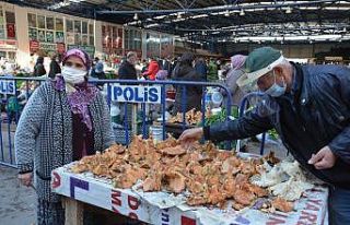 Sinop’ta kanlıca pazara indi