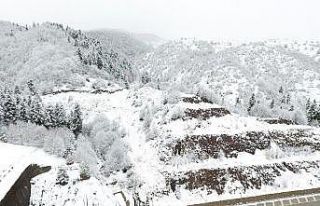 Sinop’un yüksek kesimleri beyaza büründü
