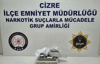 Şırnak’ta 2 kilo altın ve tarihi eser ele geçirildi