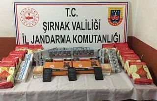 Şırnak’ta kaçakçılık operasyonu: 43 gözaltı