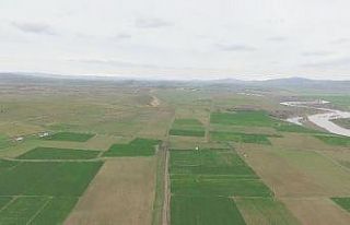 Sivas’ta 1 yılda 19 bin 242 hektar alan tapulaştırıldı