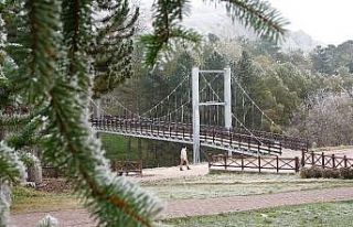 Sivas’ta masalsı kış güzelliği