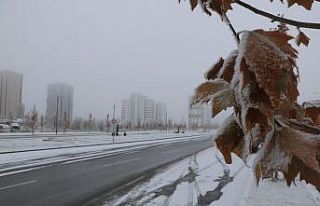 Sivas’ta yoğun kırağı
