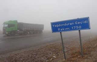 Sivas’ta yüksek kesimlerde kar ve sis etkili oldu