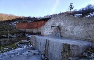 Soğuk hava çeşmeleri ve yalakları dondurdu