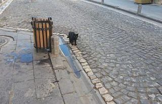 Sokağa çıkma kısıtlaması nedeniyle sokaklar...