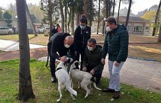 Sokağa çıkma kısıtlamasında Aydın’daki sokak...