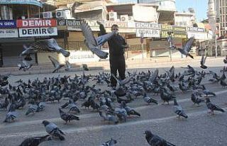 Sokağa çıkma kısıtlamasında güvercinleri besledi