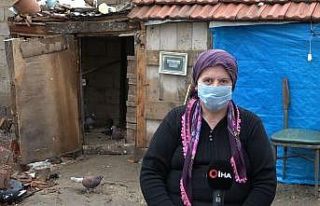 Sokağa çıkma kısıtlamasında hayvanlarıyla vakit...