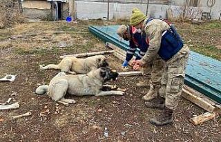 Sokağa çıkma kısıtlamasında jandarma ve polis...