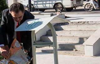 Sokağa çıkma kısıtlamasında sokak hayvanları...