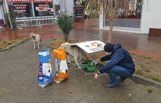 Sokak hayvanları için beslenme üniteleri oluşturuldu