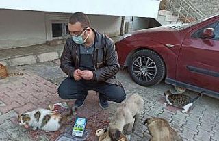 Sokak hayvanları için harekete geçti, mahalle sakinleri...