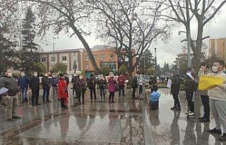 Sokak hayvanlarına eziyete tepki gösterdiler